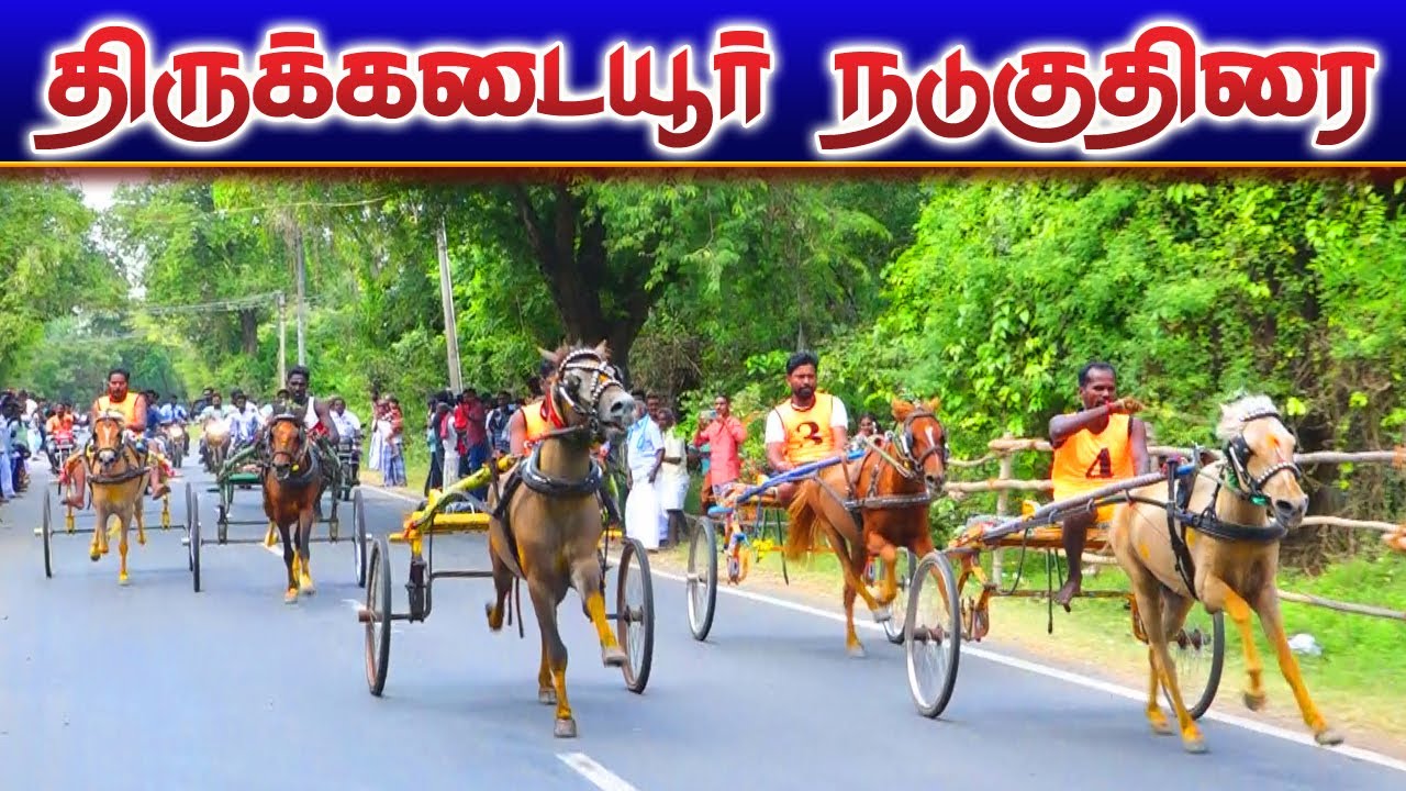 திருக்கடையூர் நாடுகுதிரை 17/01/2023 thirukadiur nadukuthirai ksk rekla race Krish studio
