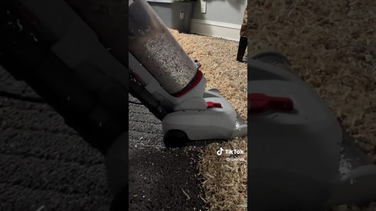 Good vs Evil br w/dd unmicd #explore #oddlysatisfying #asmr #satisfying #asmrcommunity #vacuum