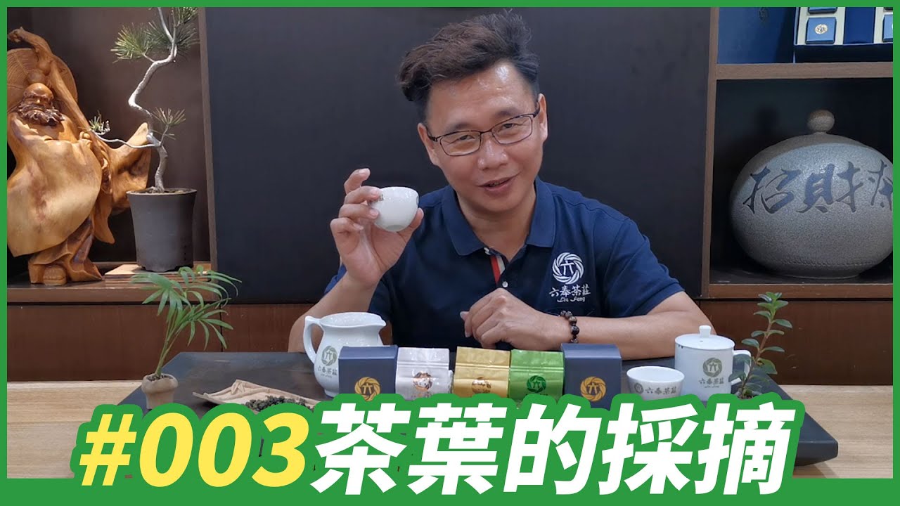 【六奉茶學】#003# 茶葉的採摘，為何Albert失業了！？影片最後有精彩採茶實錄喔