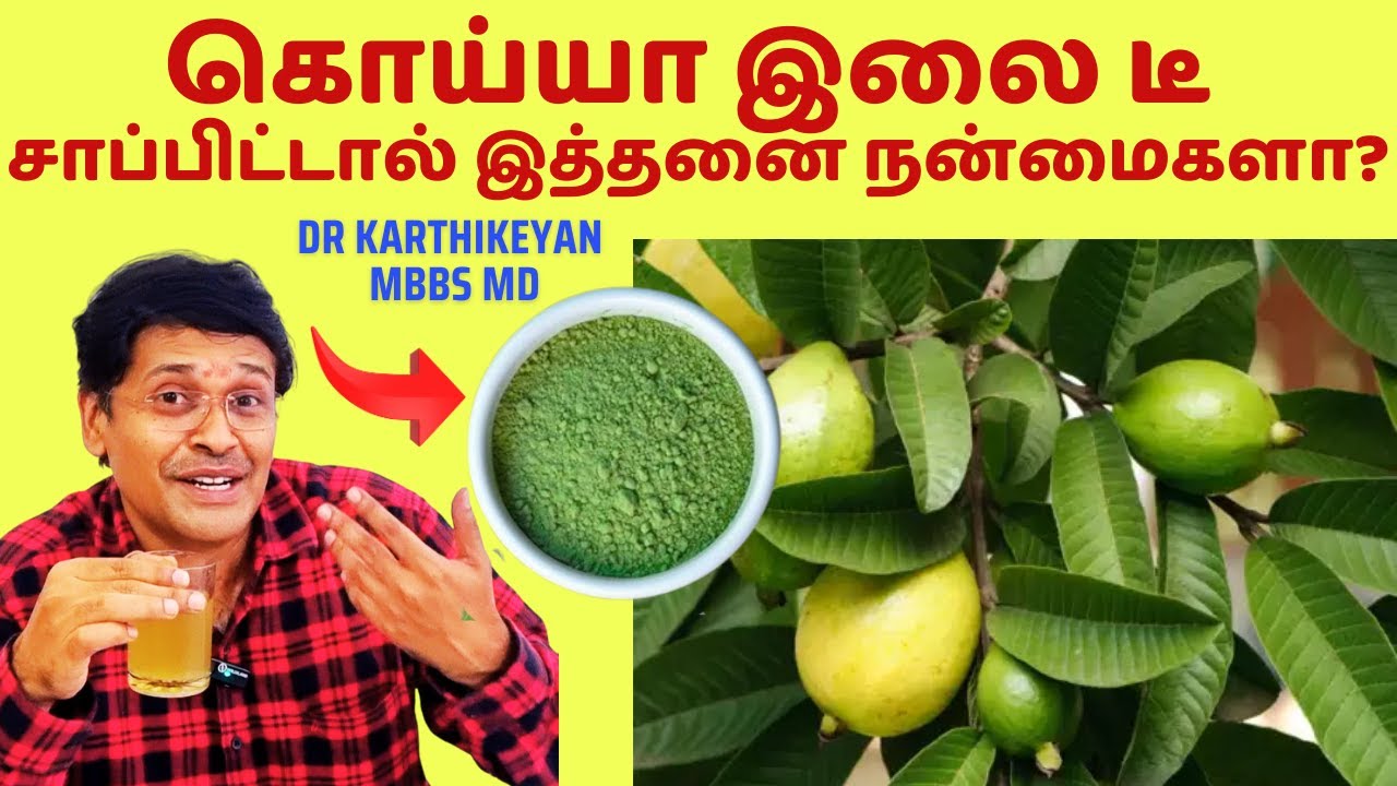 தினமும் கொய்யா இலை சாப்பிட்டால் சர்க்கரை குறையுமா? does guava leaves reduce sugar in diabetes?