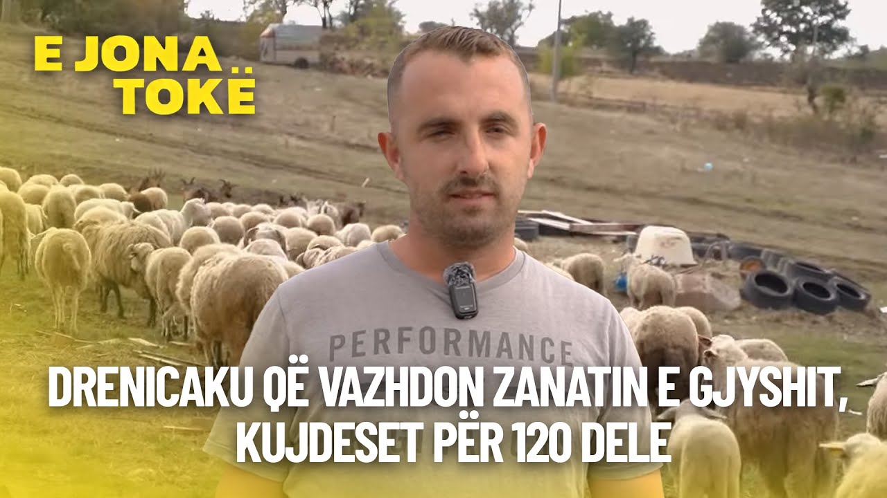 Drenicaku që vazhdon zanatin e gjyshit, kujdeset për 120 dele
