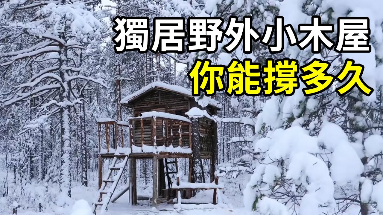 如果你在野外有一座這樣的小木屋，你能撐多久不回家？| 三千世界 #紀錄片 #有趣  #creative