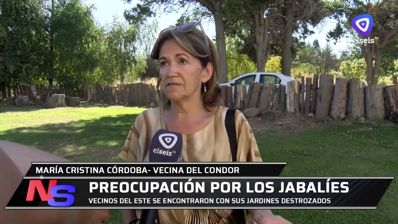Denuncian que los jabalíes rompen los jardines de los barrios del Este