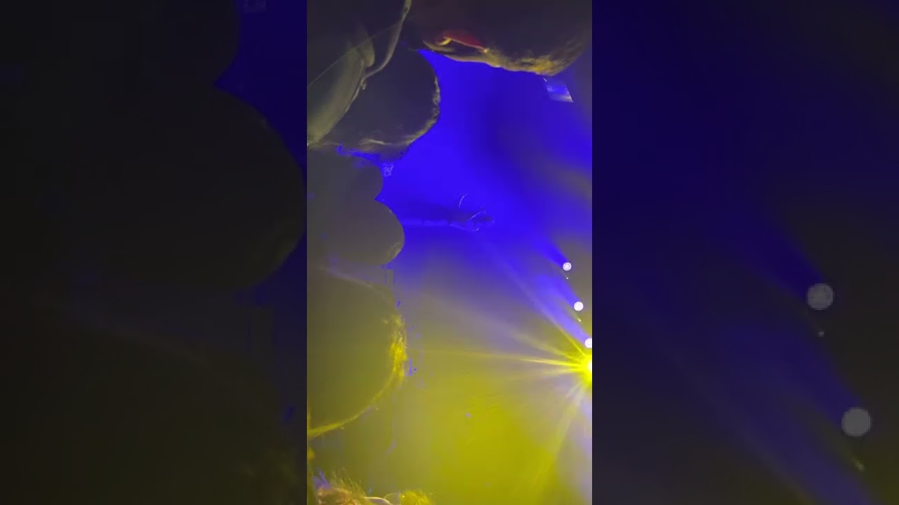 Rei Brown | Picture Frames Live | Terminal 5 | Nov 13th 2021