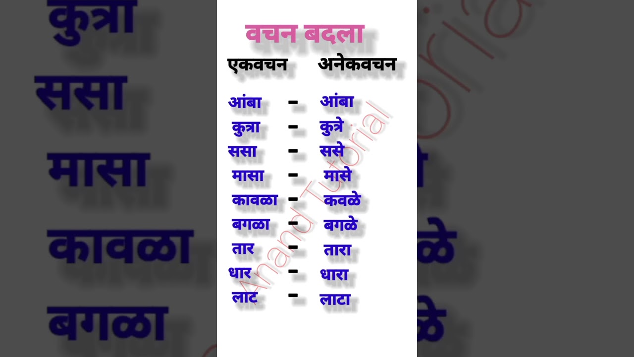 tet#एकवचन अनेकवचन शब्द मराठी | ek vachan anek vachan shabd | वचन बदला मराठी व्याकरण #marathigrammar