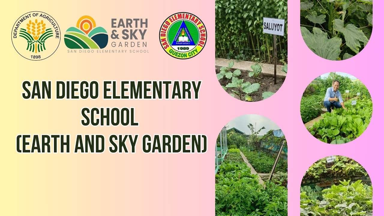 San Diego Elementary School - Earth and Sky Garden
