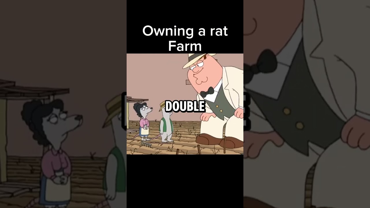 Family guy Peter owns a rat farm #familyguy #bestmoments #funny #random #rat #farm
