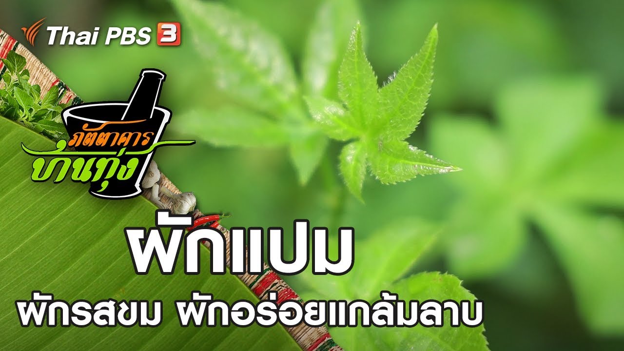 ผักแปม : ภัตตาคารบ้านทุ่ง  (9 พ.ย. 62)