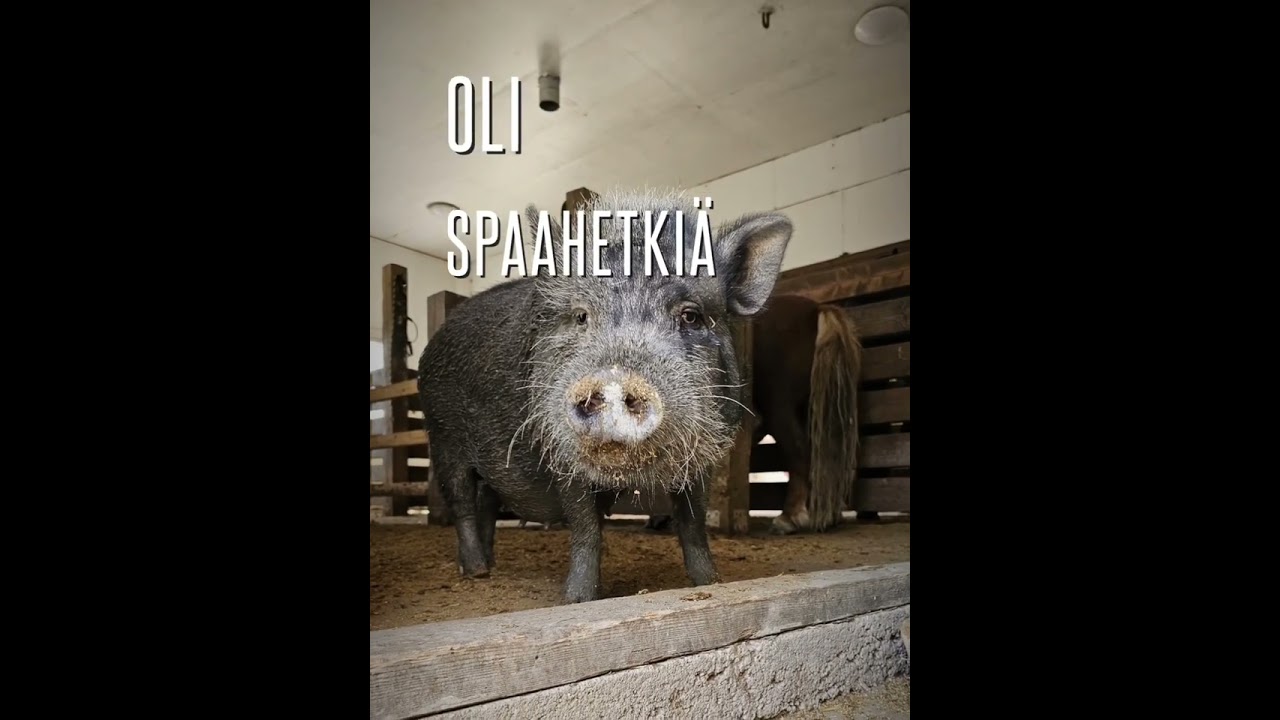 luukku 16