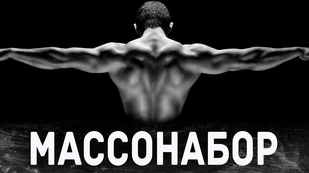 Набор мышечной массы - профицит, норма белка, тайминги приема пищи