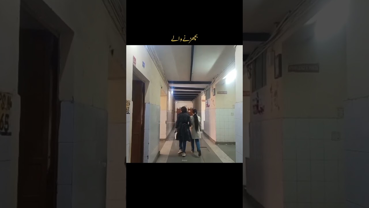 Jamia School , JMI #schoollife  #jamiamilliaislamia #jmi #jamiaschool