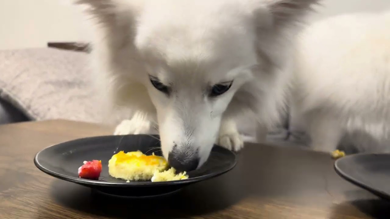 クリスマスケーキ食べた