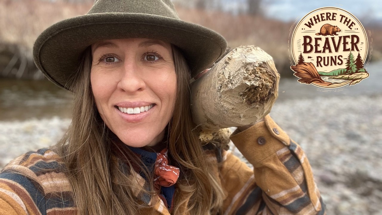 Episode 3: Beaver Trapping on New Montana Property - Setting the Beaver Highway