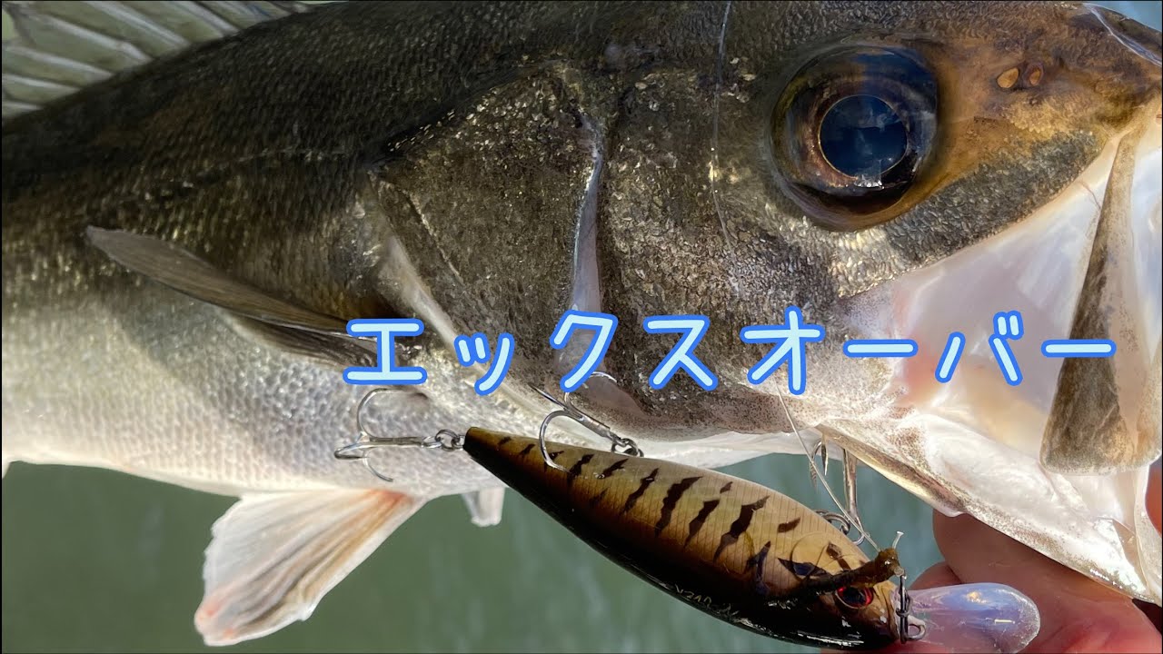 真冬のクランキングシーバス