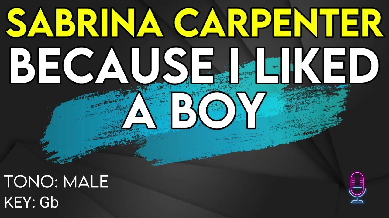Sabrina Carpenter - Because I Liked A Boy - Karaoke Instrumental - Male