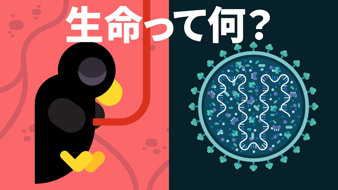 生命って何？死ってあるの？