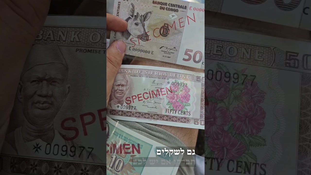 שטרות דוגמא specimen 