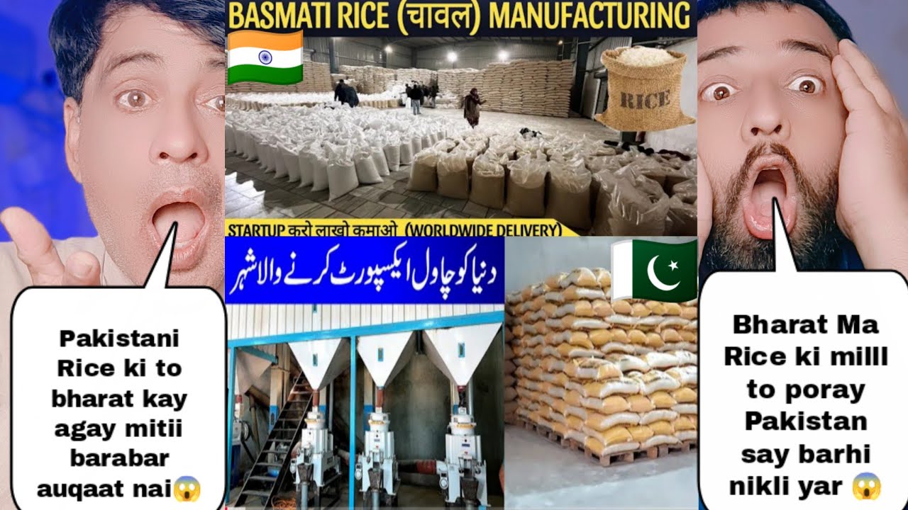 Biggest Rice Mill In India Vs Biggest Rice Mill In Pakistan | Pakistani Reactions