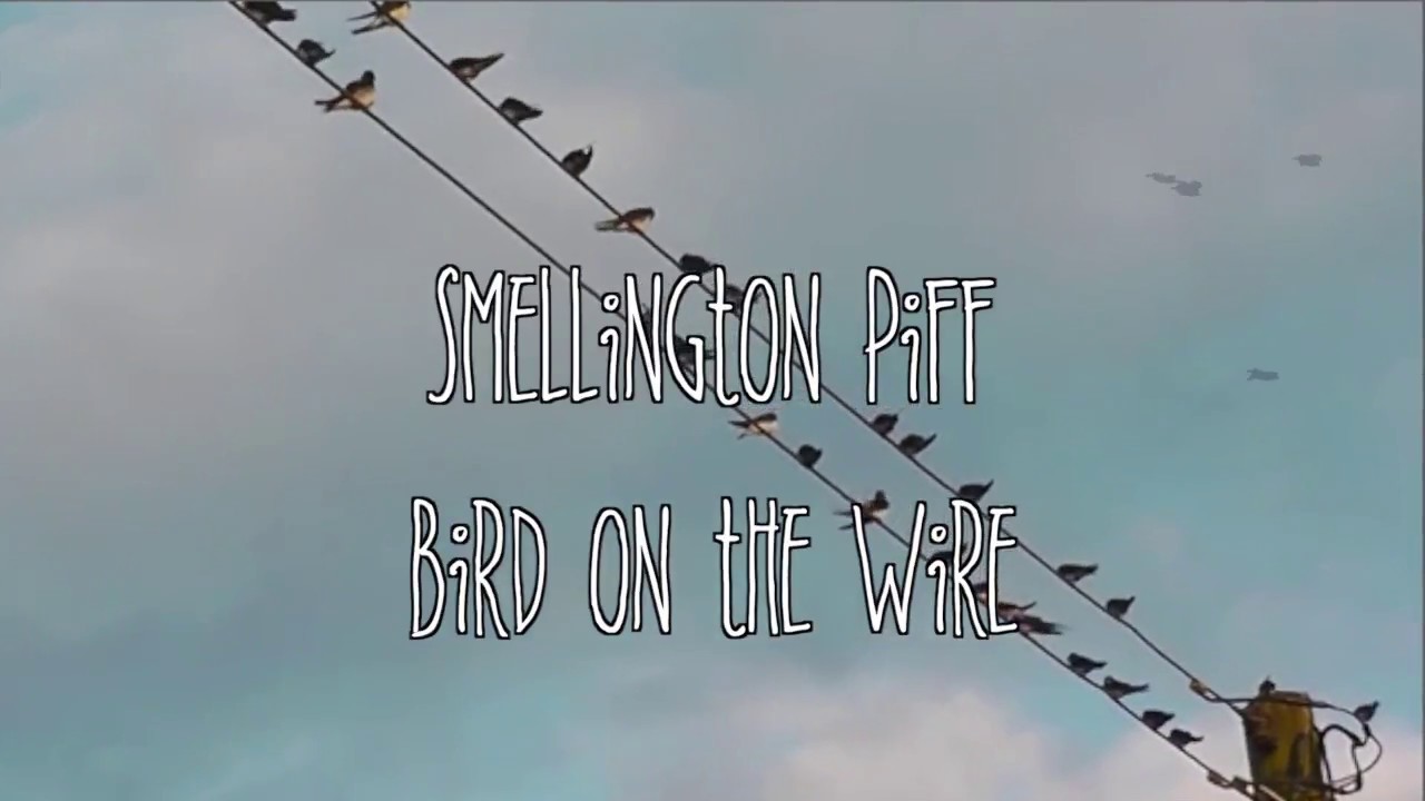 Smellington Piff - Bird on the Wire (Prod. Illinformed)