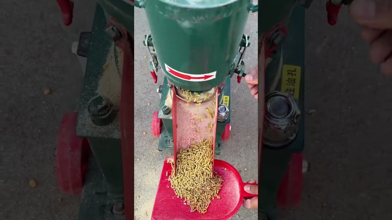 New model 2026-type feed pellet machine with rotating rollers but non-rotating grinding disc.