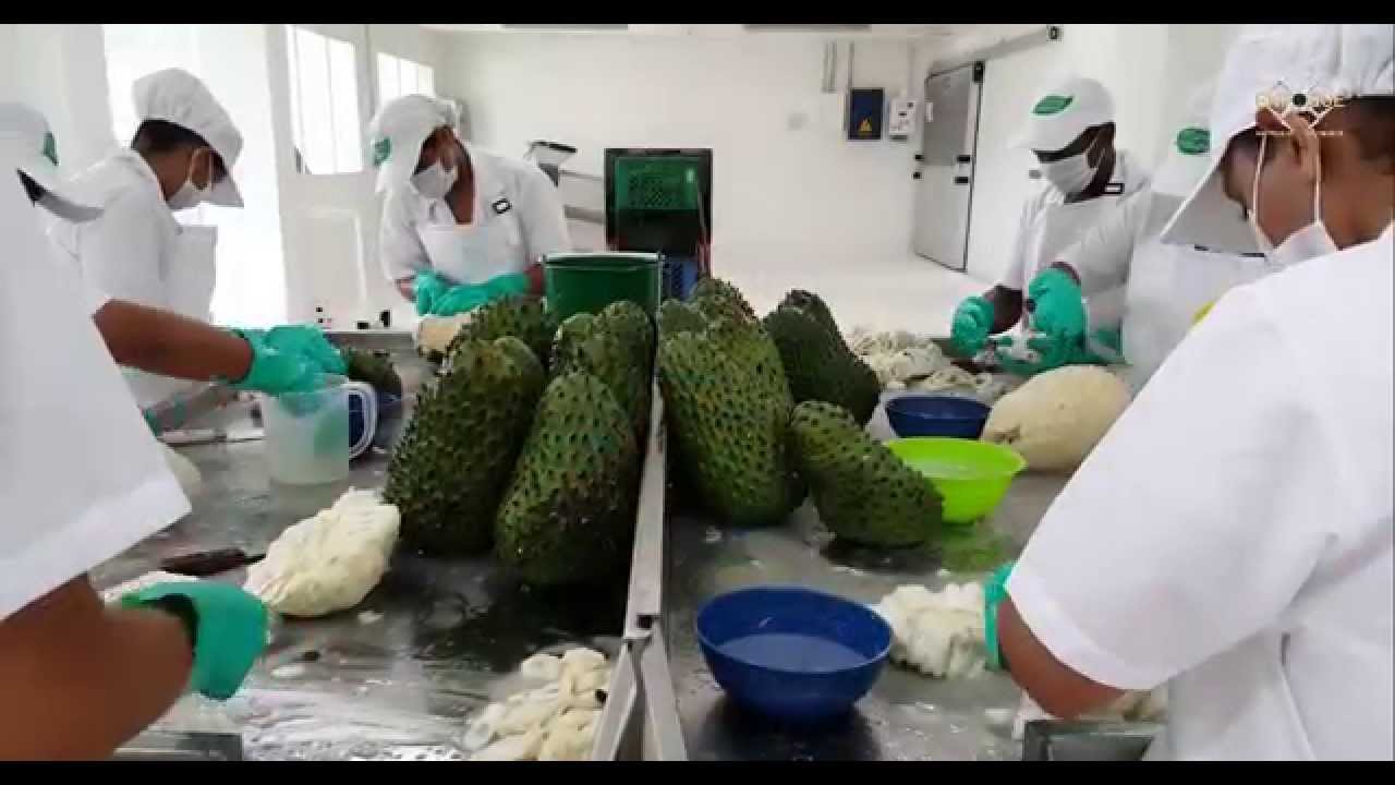 Pulpa de Frutas Jaibana