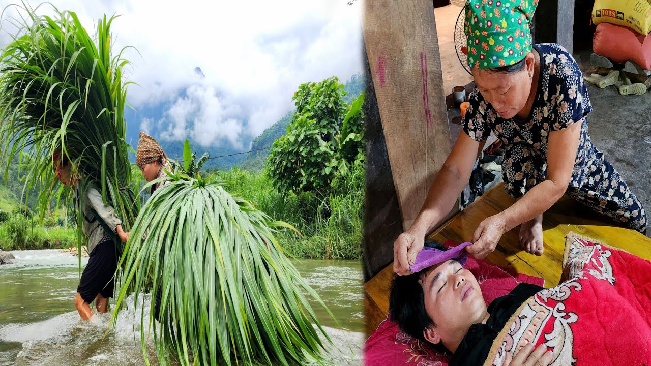 Huong helps her benefactor's family harvest grass, firewood and bananas - Hung's health is not good.