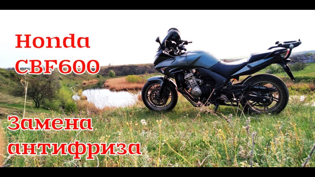 Замена антифриза Honda CBF600