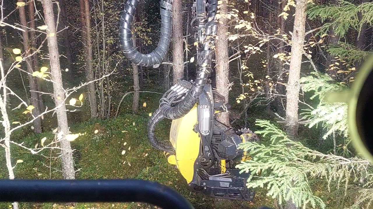 Ponsse Scorpion testi