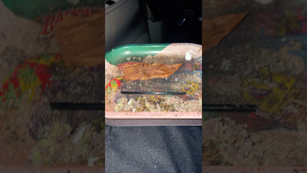 Rolling Roach Blunts Tutorial