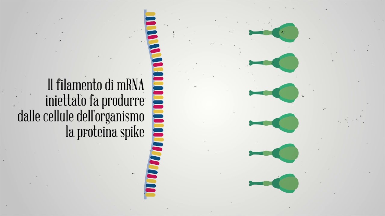 Nuovo Coronavirus: cosa sono i vaccini a mRNA?