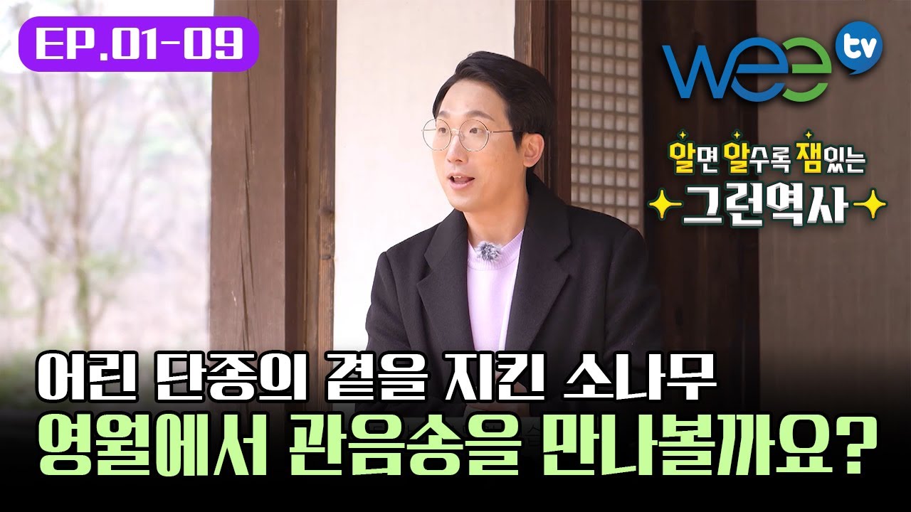 [알알잼 ep.1-9] 어린 단종의 곁을 지킨 소나무🌲 영월에서 관음송을 만나볼까요?