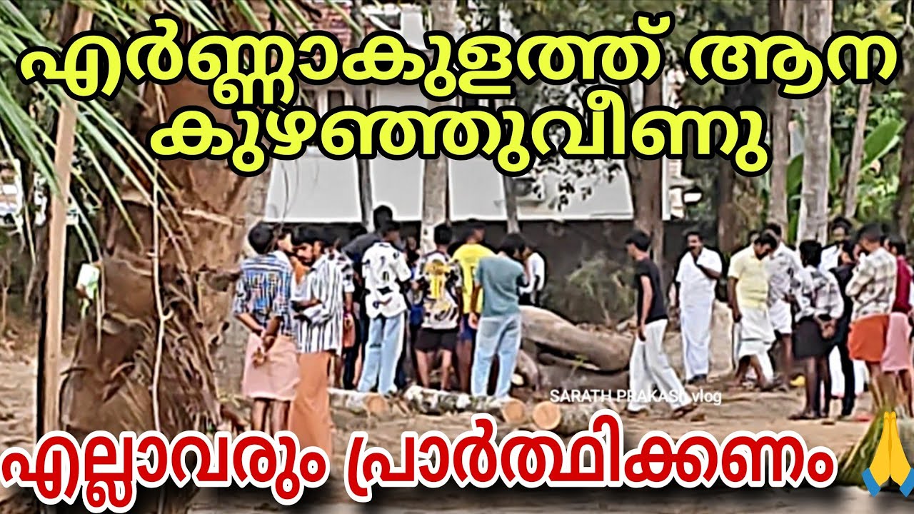 മഹാദേവൻ കുഴഞ്ഞുവീണു 🙏 ജീവൻ രക്ഷിക്കാൻ എല്ലാവരും പ്രാർത്ഥിക്കണം .. nellikkattu mahadevan 