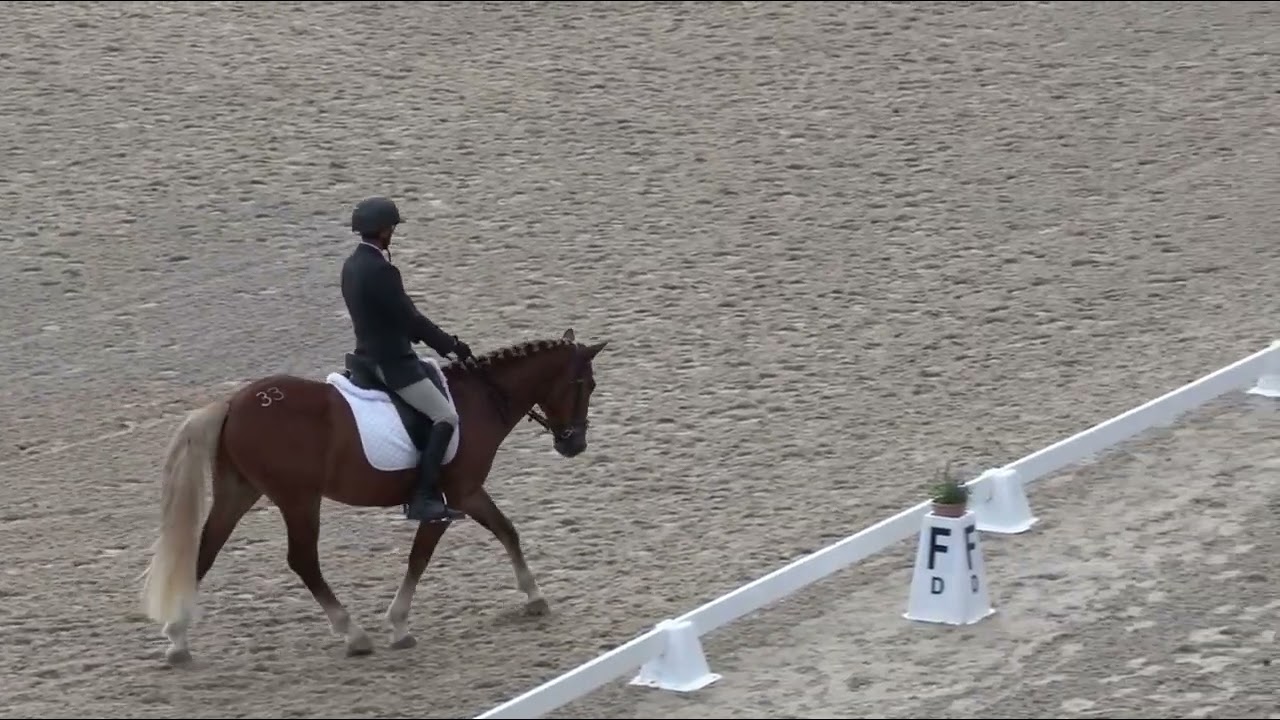 Mustang Classic 2024 Craig and Toby Dressage