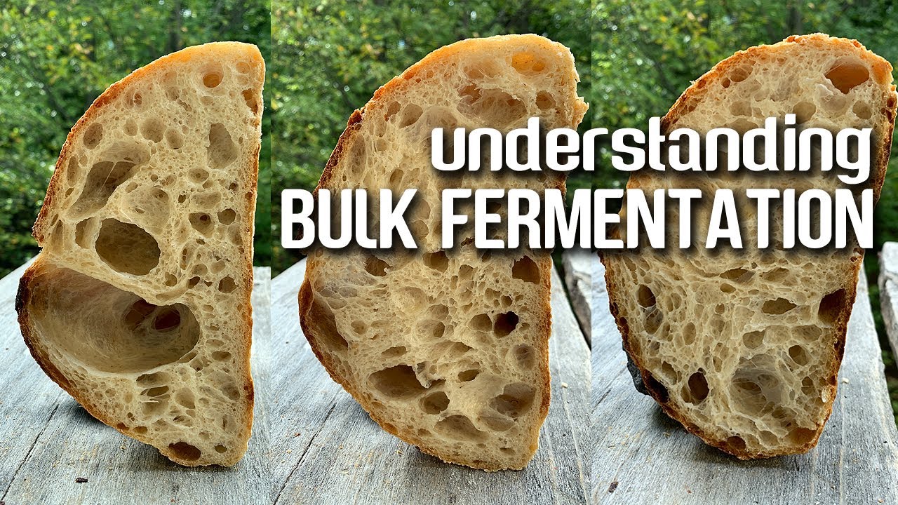 Understanding BULK fermentation. The KEY step for OPEN CRUMB and FLAVOR development. | JoyRideCoffee