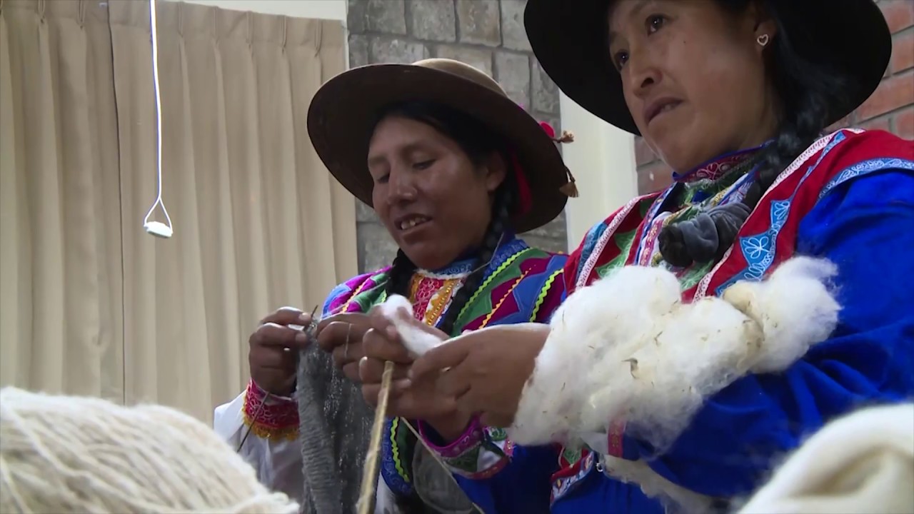 Perú es el mayor productor de fibra de alpaca a nivel mundial
