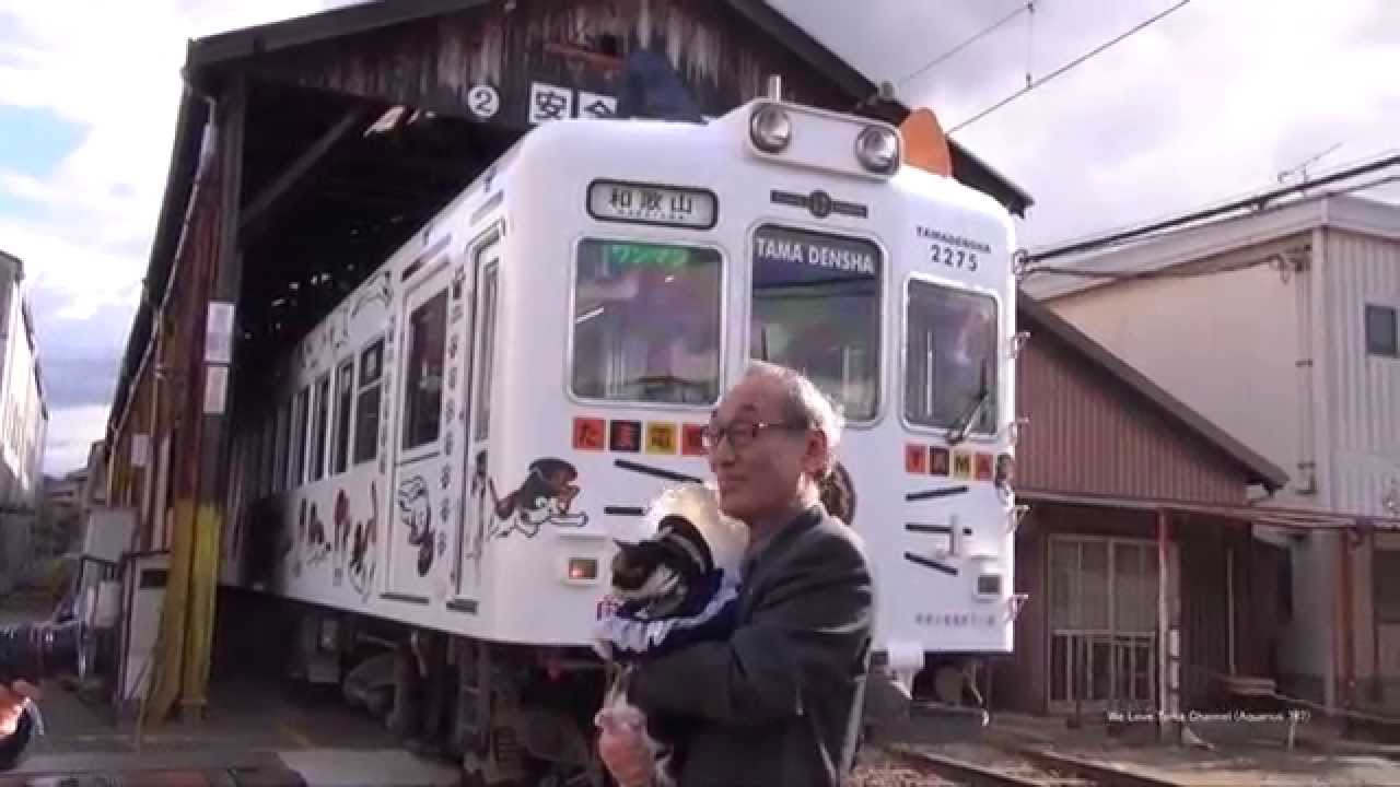 貴志川線　耳と帽子を付けてリニューアルしたたま電車出発進行！2013年12月10日