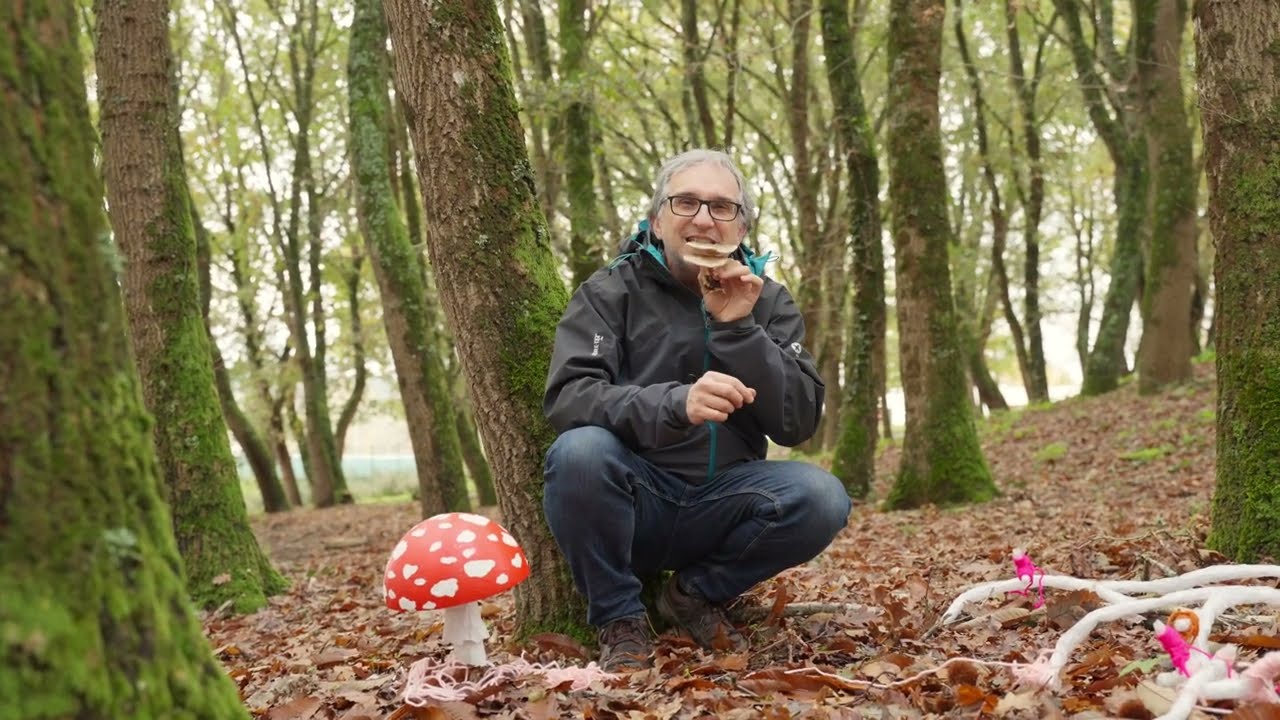 Se un gato e un mico, unha micorriza é unha michiña co pelo rizo?