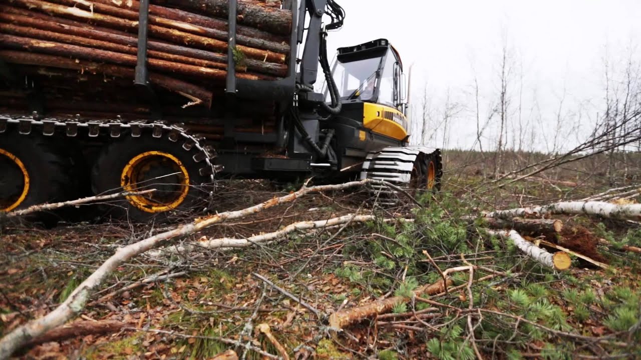 Metsä-Multia Oy esittely