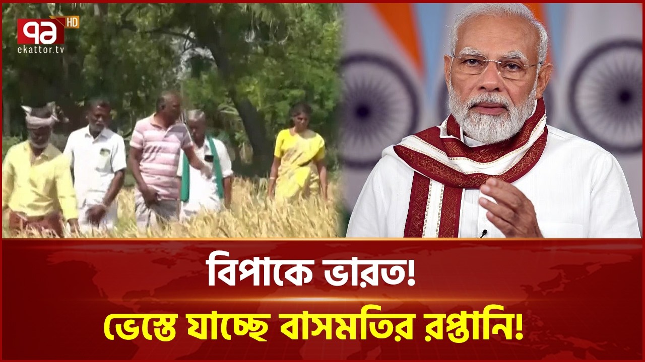 চাল নিয়ে বিপাকে ভারত! ভেস্তে যাচ্ছে বাসমতির রপ্তানি! | Indian Rice | Ekattor Business | Ekattor TV