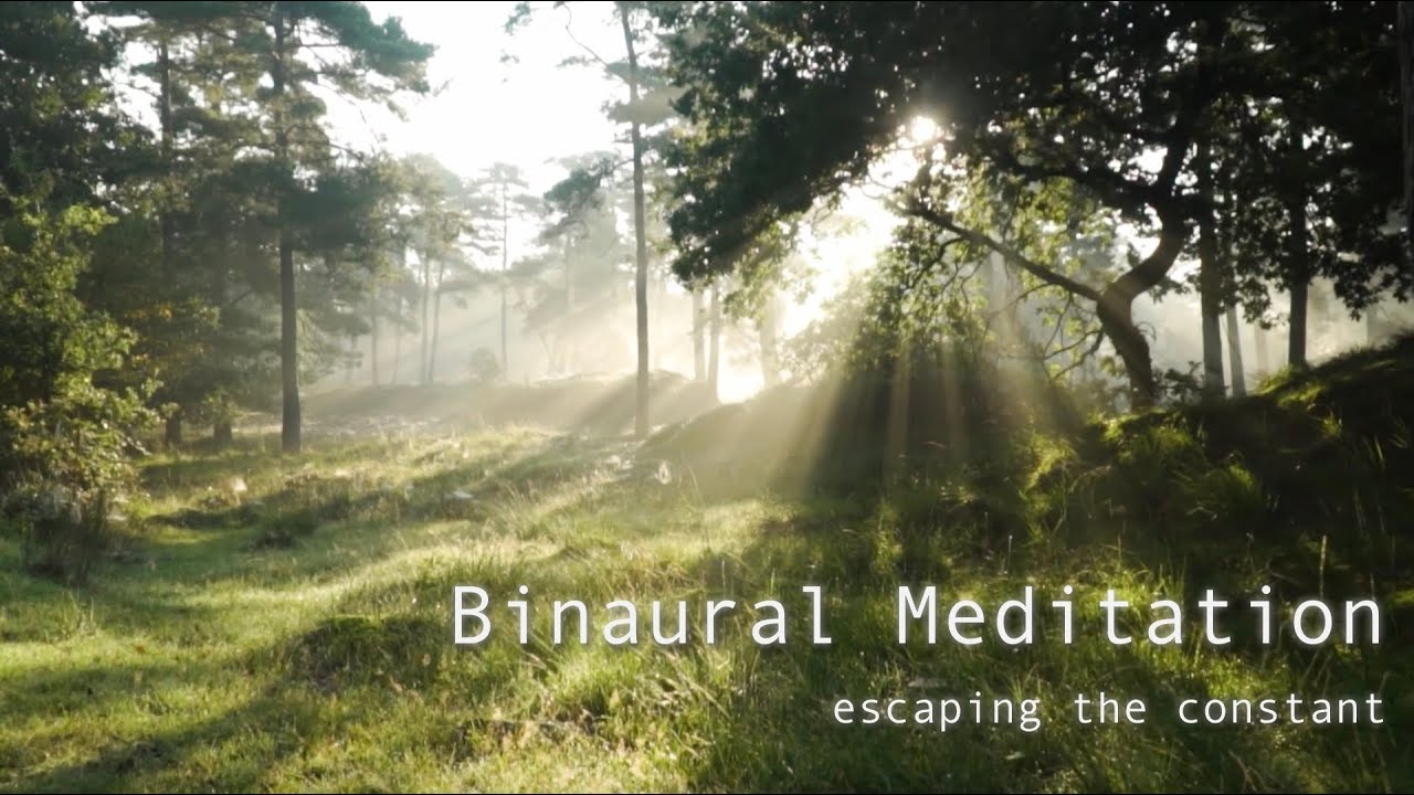Binaural Meditation || Escaping the Constant - 9 minutes to breathe alone