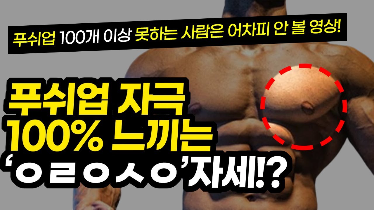 푸쉬업으로 가슴자극 100% 느끼는 자세!? (팔굽혀펴기 정자세, 대흉근 운동)