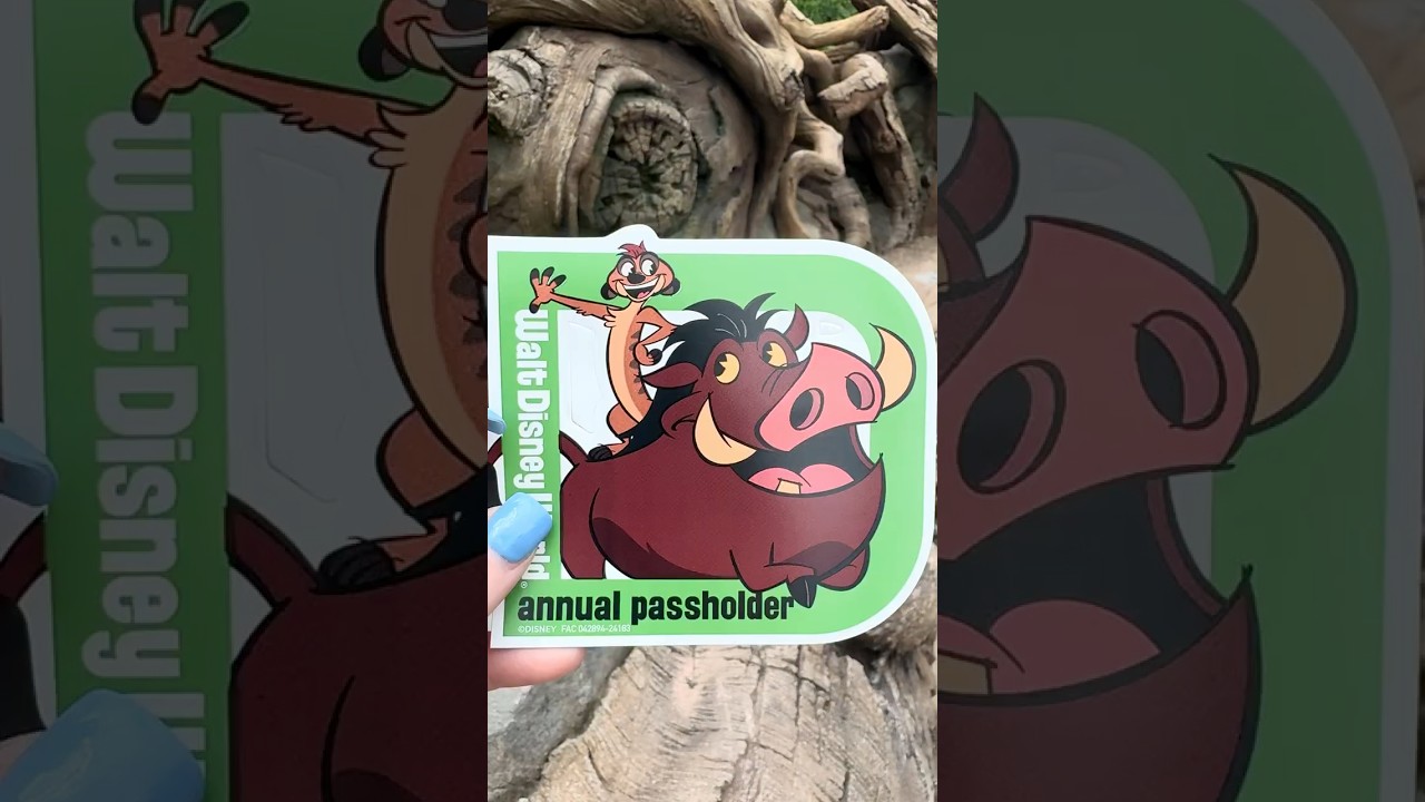 5 Annual Passholder Disney Hacks You Need to Know