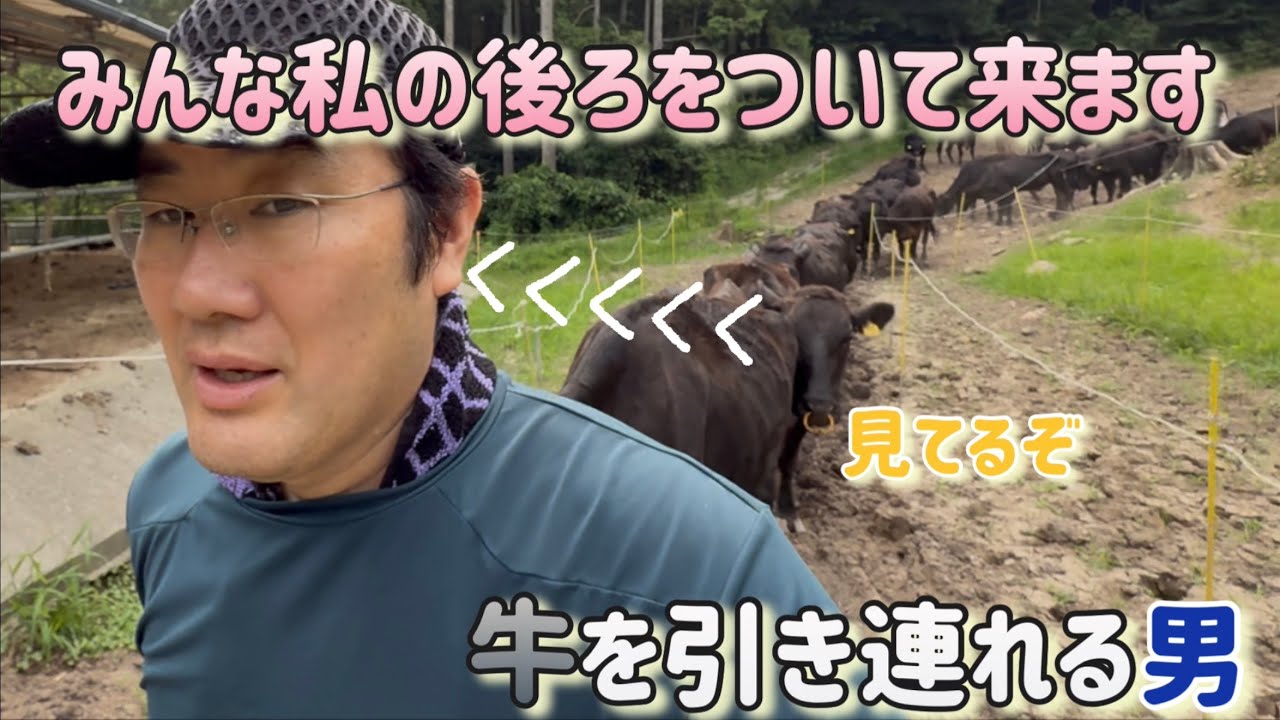 いろはちゃん戻ってくるかな？