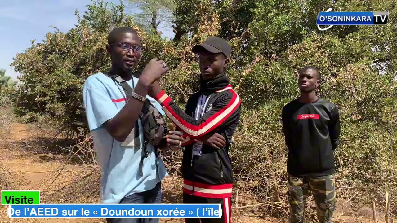 Visite sur le (Doundoun Xoré) l’île de Diawara