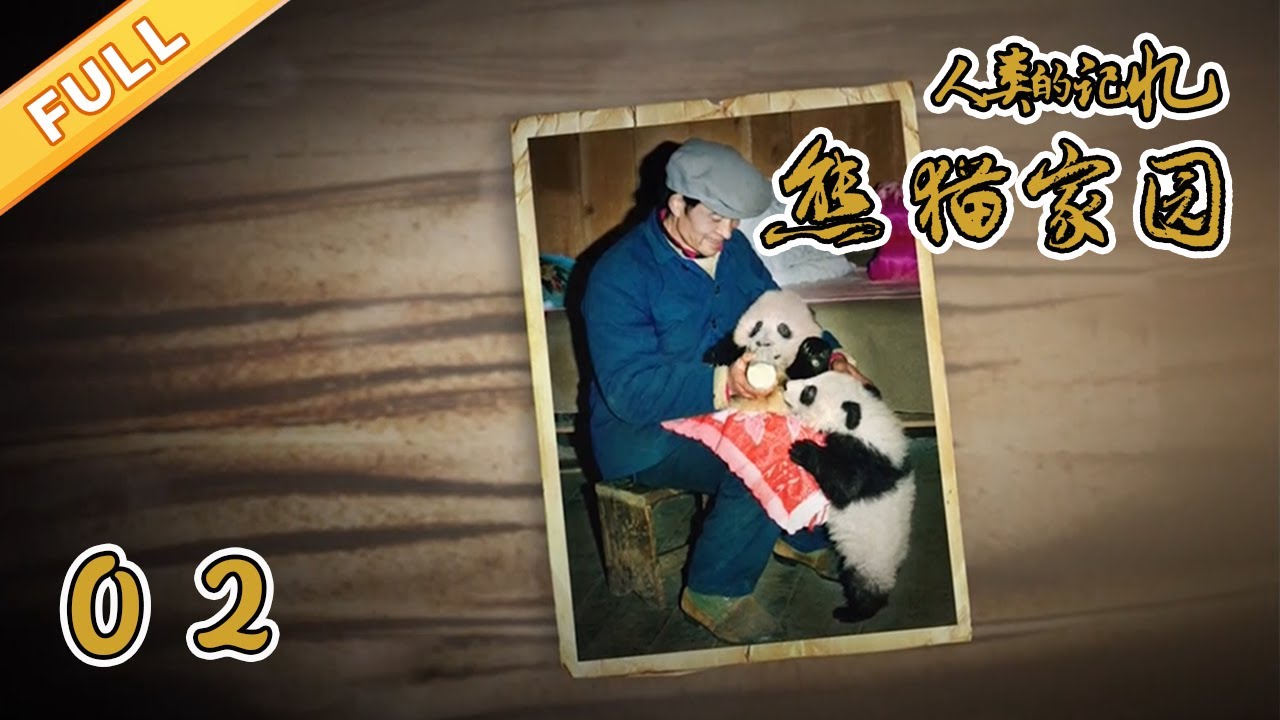 【正片】《熊猫家园》（下）【精品纪录片】