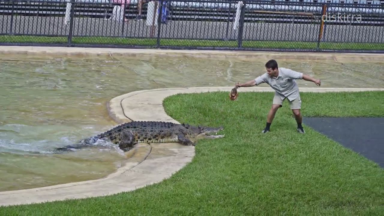 Australia Zoo Croc Show | Robert Iwrin Terri Chandler