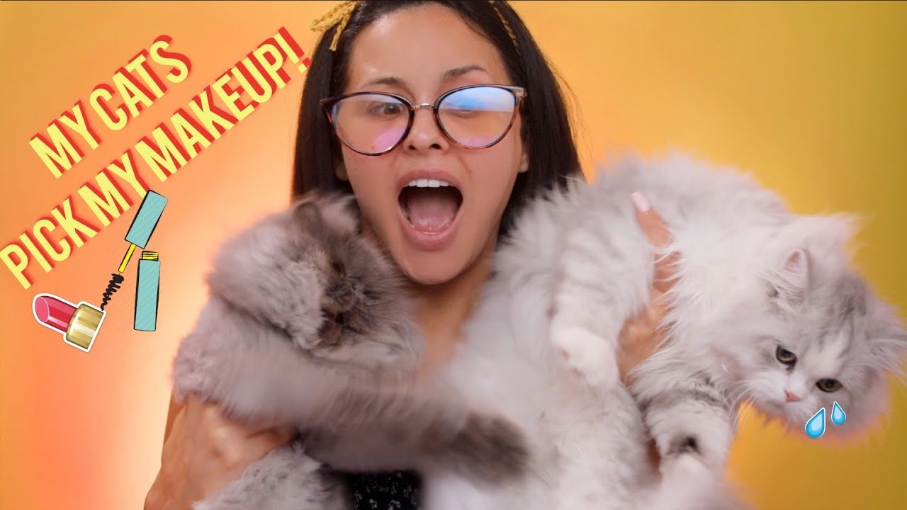 MY CATS PICK MY MAKEUP?!