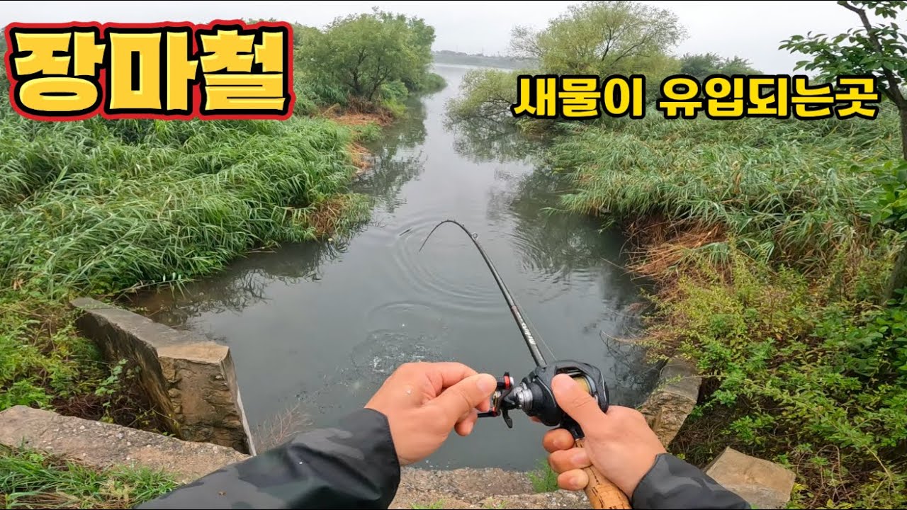 장마가 시작 되었습니다. 배스낚시