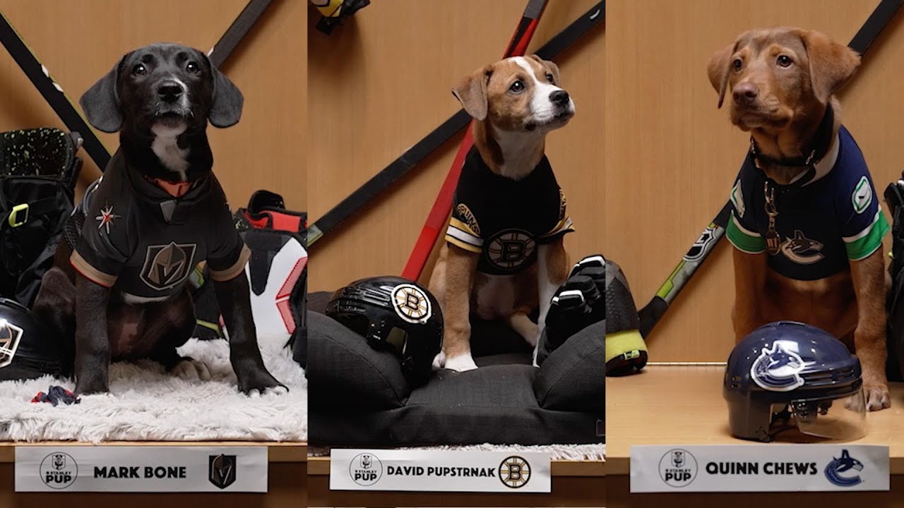 The Stanley Pup | Tonight at 8PM on NHLN and ESPN+