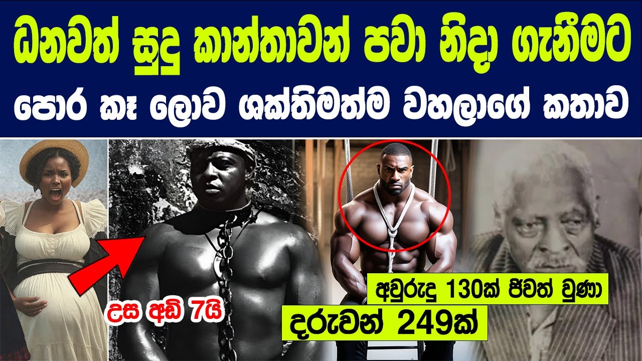 ධනවත් කාන්තාවන් පවා එකට සිටීමට පොර කෑ ලොව ශක්තිමත්ම වහලාගේ කතාව | Unheard Stroy of Pata Seka